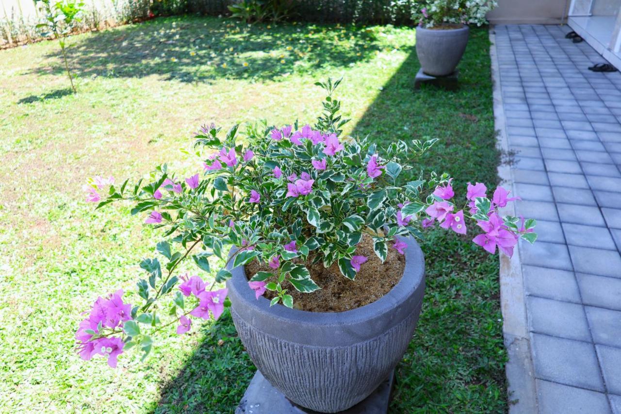 Sanur Pondok Dete Guesthouse מראה חיצוני תמונה